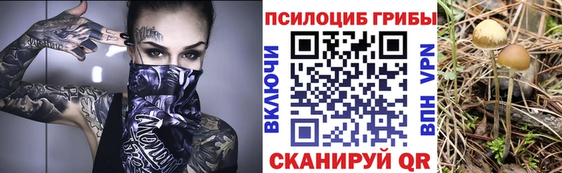 Псилоцибиновые грибы Magic Shrooms  Тула 