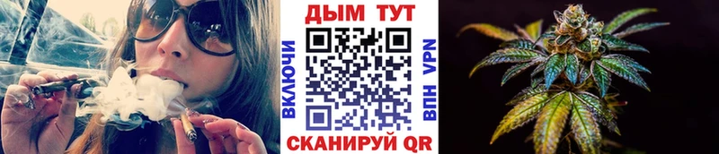 Бошки Шишки гибрид Тула