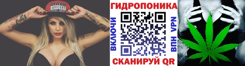 Бошки марихуана семена  купить наркоту  Тула 